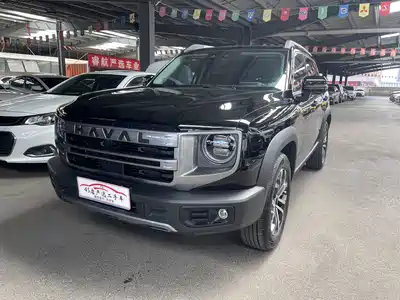 Haval Big Dog 2024