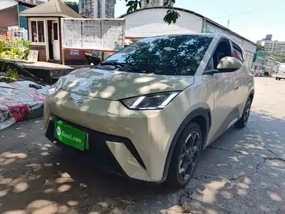 BYD Seagull 2024