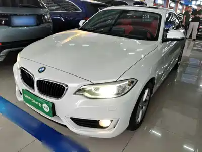 BMW 2 Series (Import) 2016