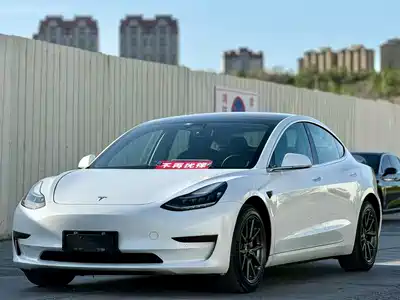 Tesla Model 3 (Import) 2020