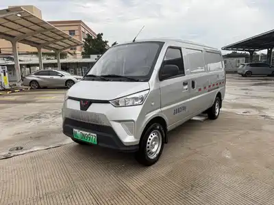 Wuling Motors EV50 2025