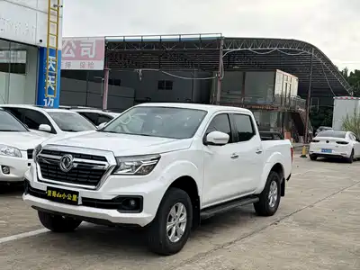 Dongfeng Ruiqi 2022