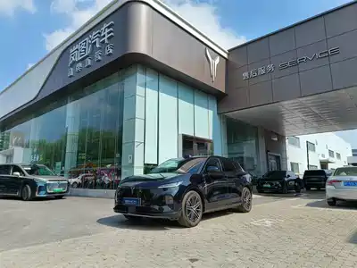 Voyah Auto Zhiyin 2025