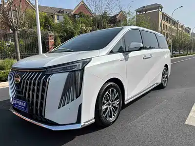 GAC Trumpchi M8 2024