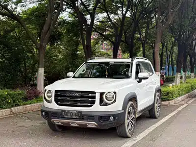 Haval Big Dog 2020