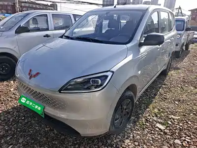 Wuling Motors Hongguang New Energy 2026