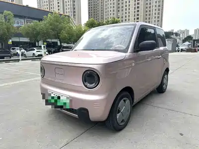 Geely Galaxy Panda 2024