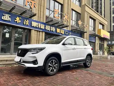 Dongfeng Fengxing T5 2019