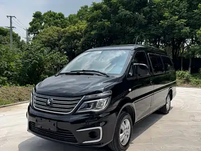 Dongfeng Fengxing Lingzhi 2022