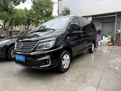 Dongfeng Fengxing Lingzhi 2018