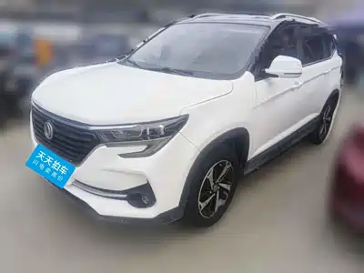 Dongfeng Fengxing T5 2019