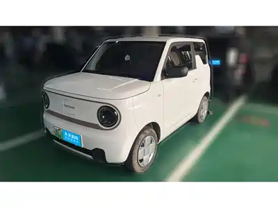 Geely Galaxy Panda 2025