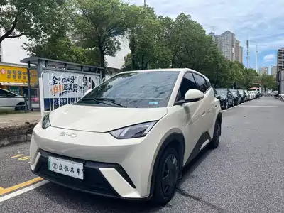 BYD Seagull 2024