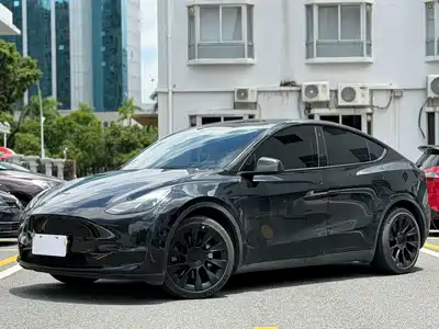 Tesla Model Y 2021