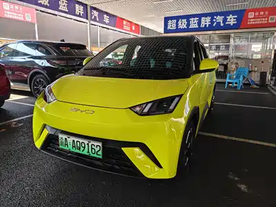 BYD Seagull 2023