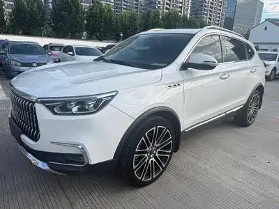 Leopaard Mattu 2019