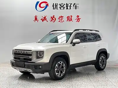 Haval Big Dog 2025