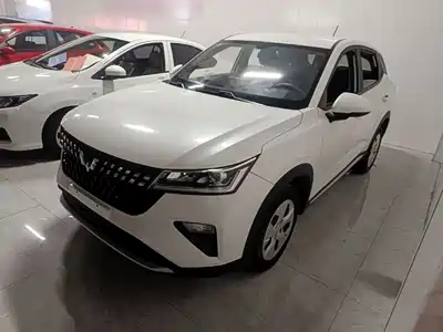Wuling Motors Xingchi 2024