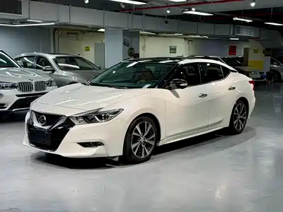 Nissan Cima 2017