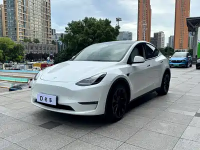Tesla Model Y 2021