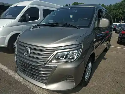 Dongfeng Fengxing Lingzhi 2021