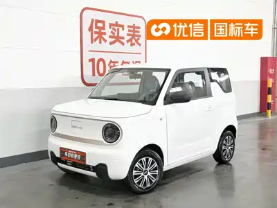 Geely Galaxy Panda 2023