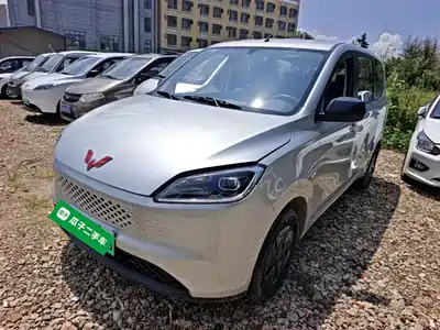 Wuling Motors Hongguang New Energy 2026