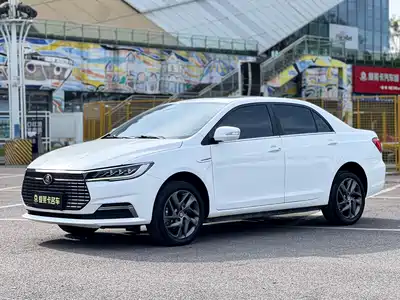 BYD Qin New Energy 2020
