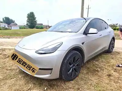 Tesla Model Y 2024
