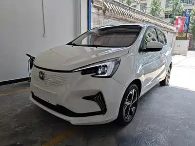 Changan Benben E-Star 2021