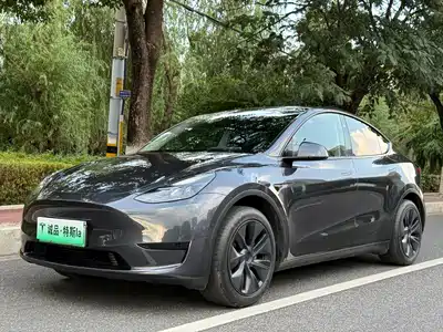 Tesla Model Y 2025