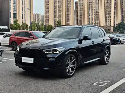 BMW X5 New Energy(Imported) 2021