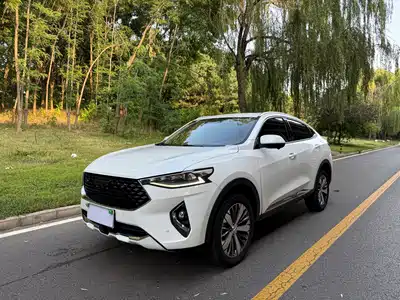 Haval F7x 2019