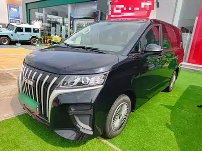 BAW (Beijing Automobile Works) Ruisheng Ace M7 2025