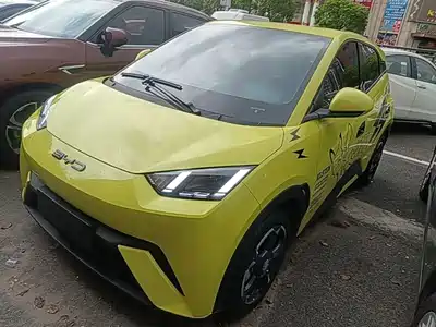 BYD Seagull 2024