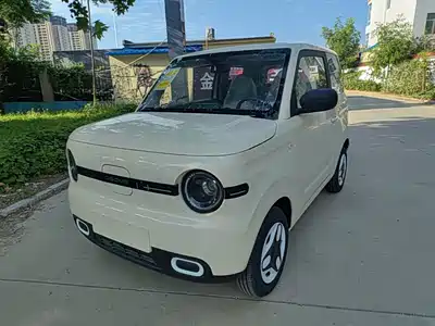 Geely Galaxy Panda 2026