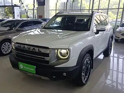 Haval Big Dog 2024