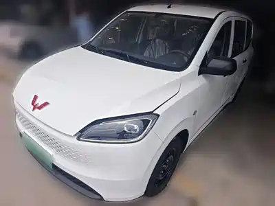 Wuling Motors Hongguang New Energy 2026