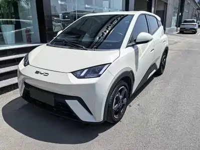 BYD Seagull 2025