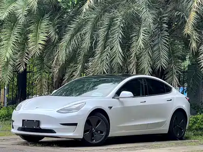 Tesla Model 3 (Import) 2019