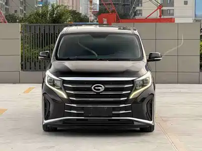 GAC Trumpchi M8 2020