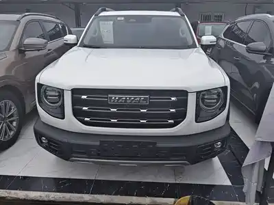 Haval Big Dog 2021