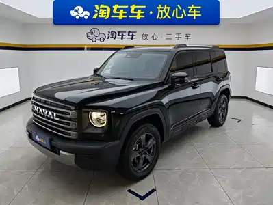 Haval Meng Long NEV 2023