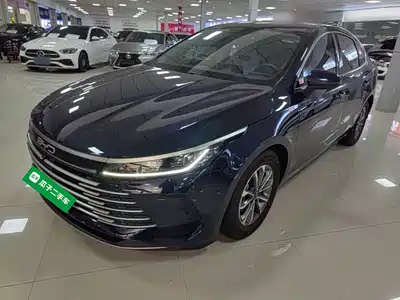 BYD Destroyer 05 2024