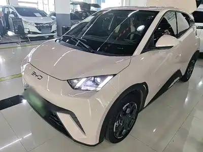BYD Seagull 2024