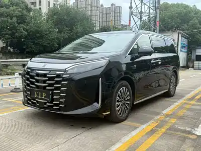 BYD Xia 2025