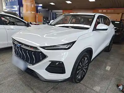 Changan Oshan Oushang X5 2021