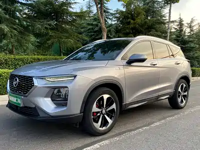 Haima 8S 2020