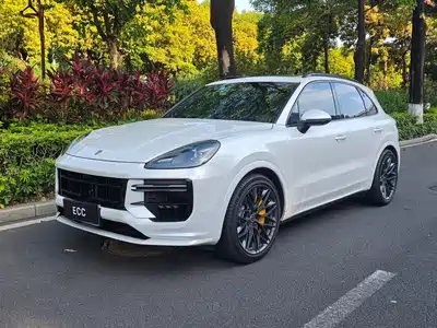 Porsche Cayenne 2020