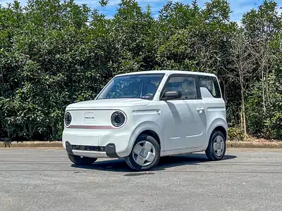 Geely Galaxy Panda 2023